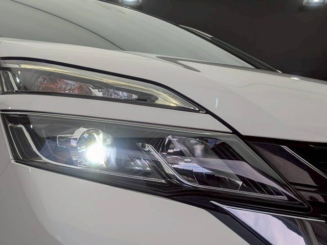 SERENA  S-HYBRID