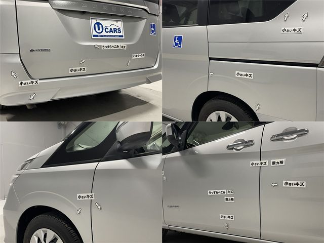 SERENA  S-HYBRID