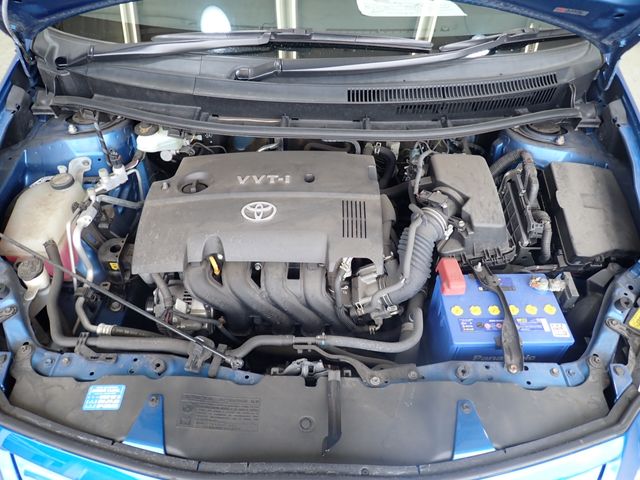 AURIS