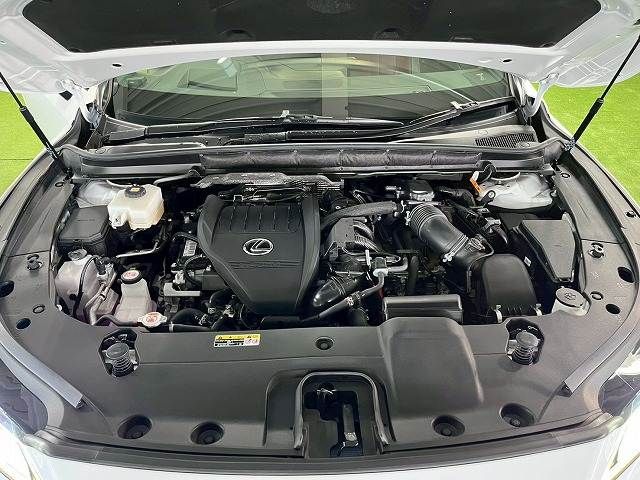 LEXUS RX500h