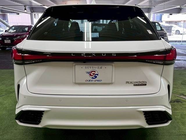 LEXUS RX500h