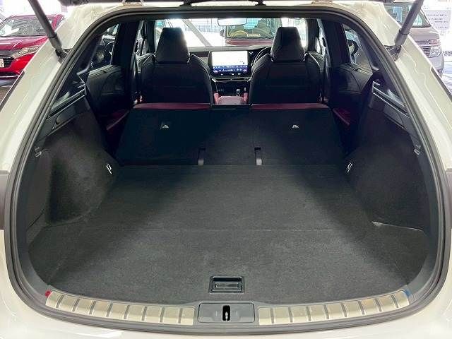 LEXUS RX500h