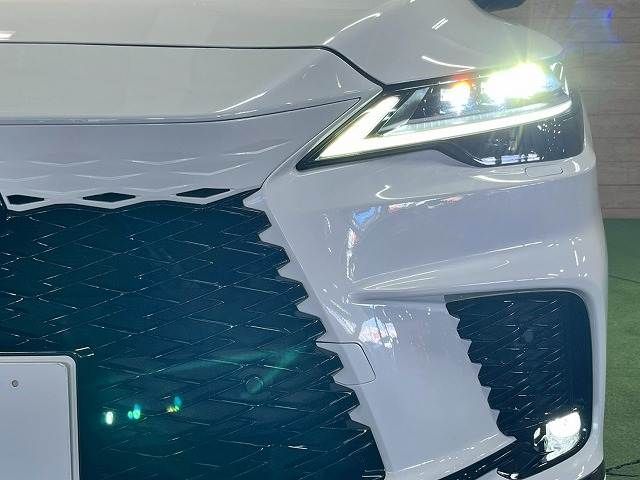 LEXUS RX500h