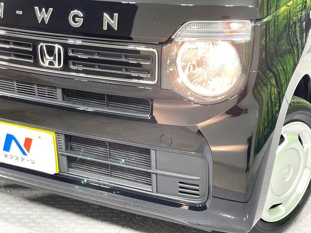 N-WGN