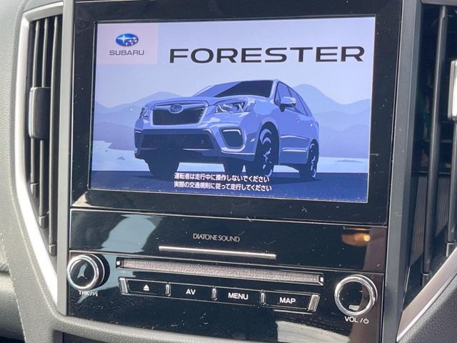 FORESTER