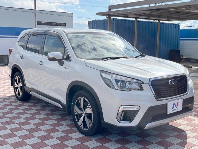 FORESTER