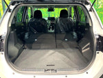 RAIZE HYBRID