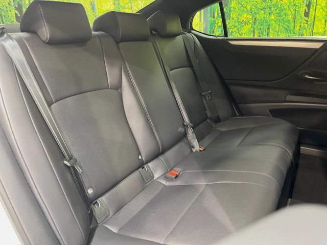 LEXUS ES300h