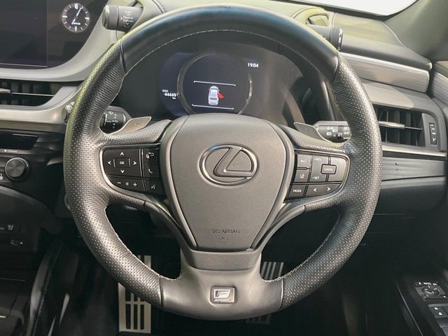 LEXUS ES300h