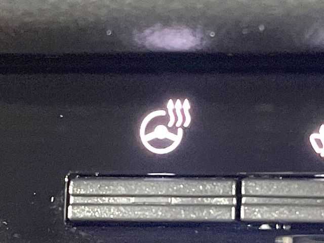 TRITON