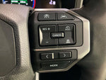 LANDCRUISER 250