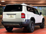 LANDCRUISER 250