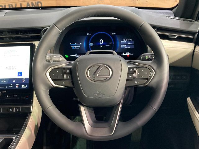 LEXUS LBX
