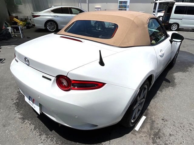 ROADSTER