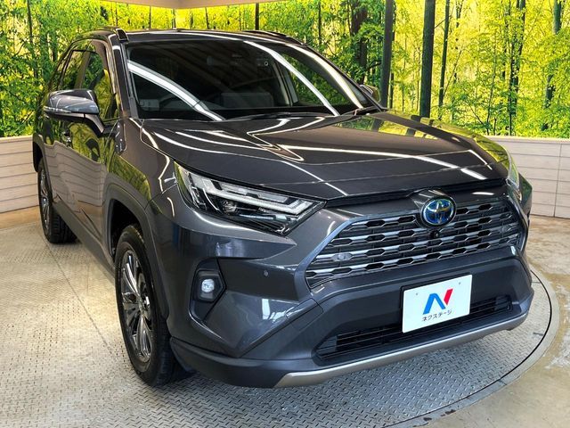 RAV4 HYBRID 4WD