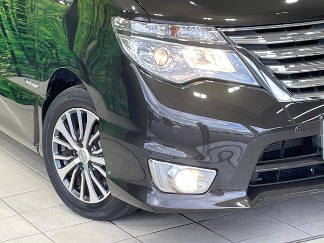 SERENA  S-HYBRID