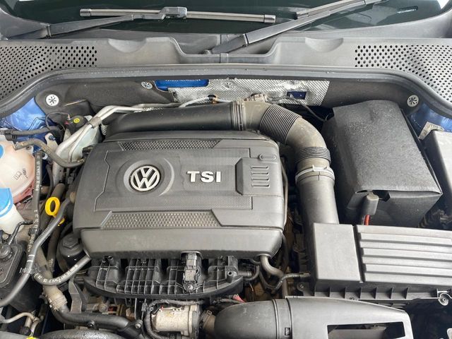 VOLKSWAGEN The BEETLE
