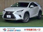 LEXUS NX300h