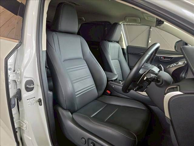 LEXUS NX300h