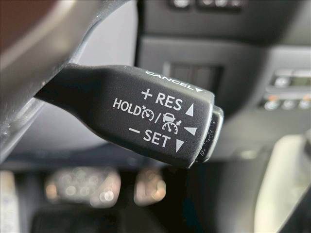 LEXUS NX300h