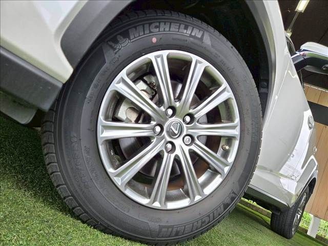 LEXUS NX300h