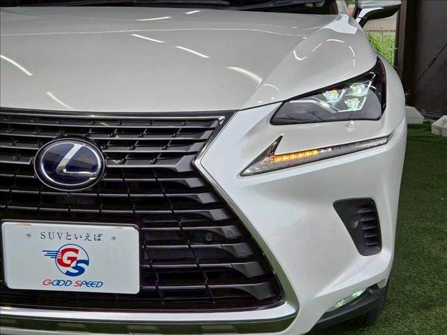LEXUS NX300h