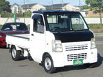 CARRY truck