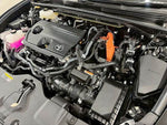 CROWN SPORT