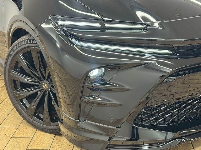 CROWN SPORT
