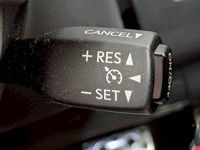 LEXUS NX200t