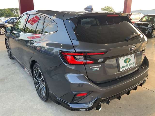 LEVORG