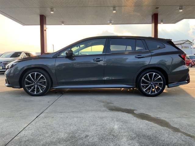 LEVORG