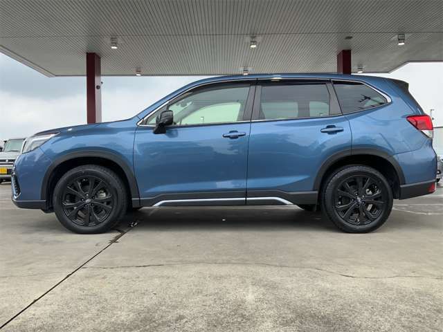 FORESTER