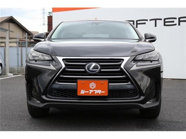 LEXUS NX300h AWD