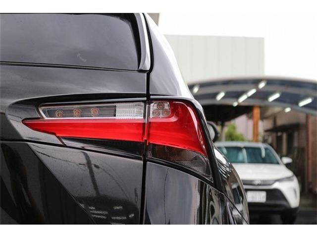LEXUS NX300h AWD