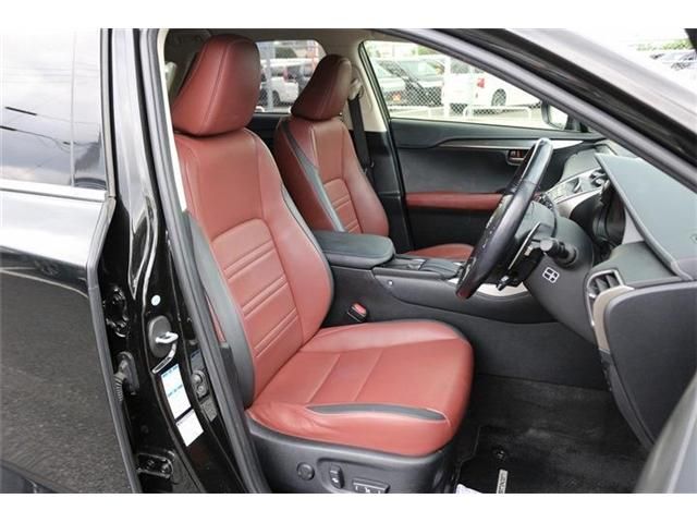 LEXUS NX300h AWD