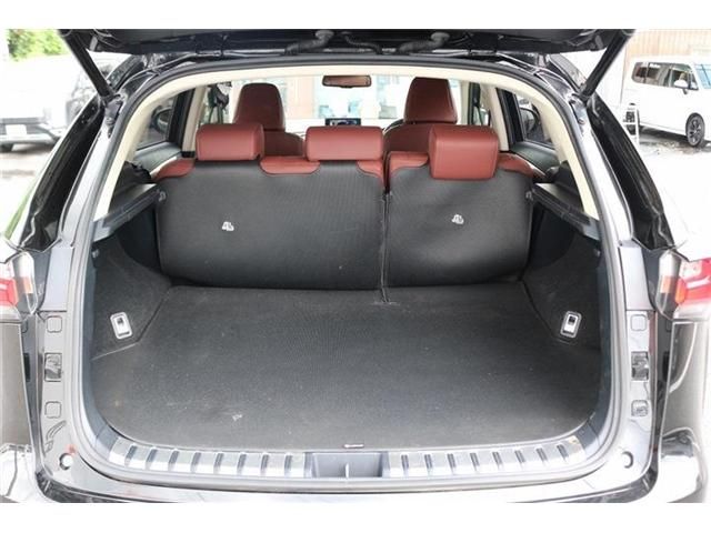 LEXUS NX300h AWD
