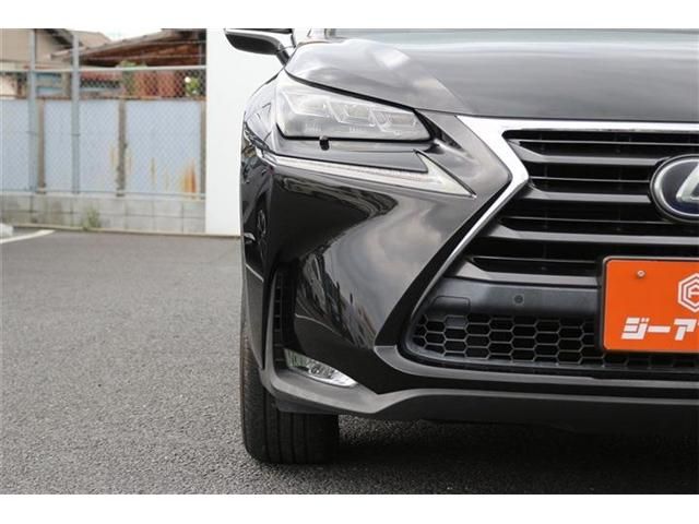 LEXUS NX300h AWD