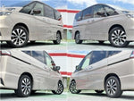 SERENA  S-HYBRID
