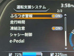LEAF