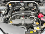 EXIGA CROSSOVER 7