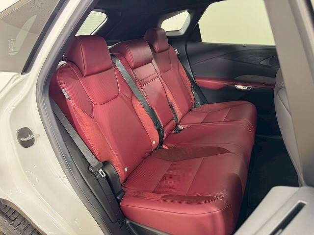 LEXUS RX500h