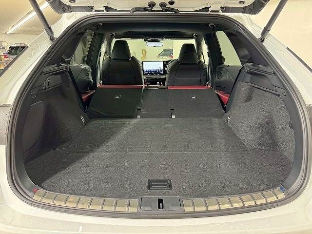 LEXUS RX500h