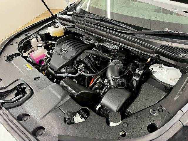 LEXUS RX500h