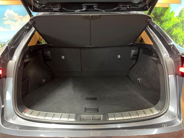 LEXUS NX350h AWD