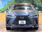 LEXUS NX350h AWD