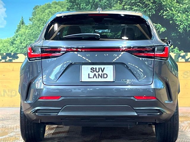 LEXUS NX350h AWD