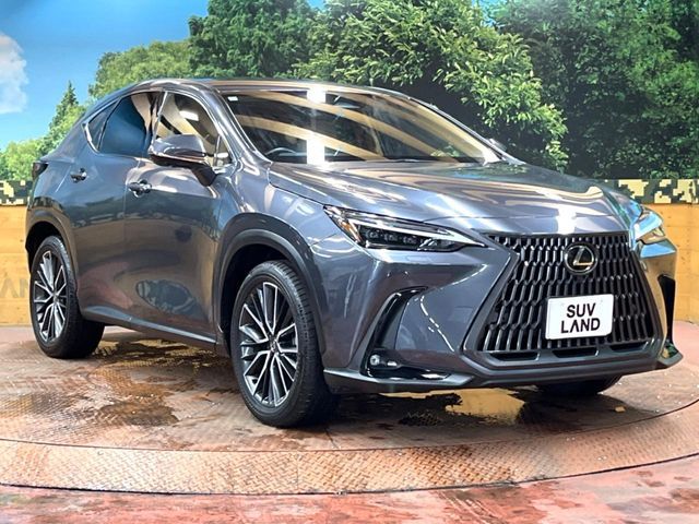 LEXUS NX350h AWD
