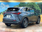 LEXUS NX350h AWD