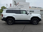LANDCRUISER 250